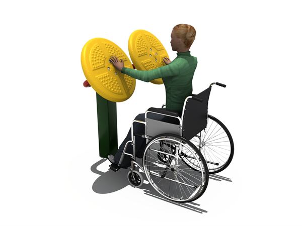 Handicap Tai Chi Trainer